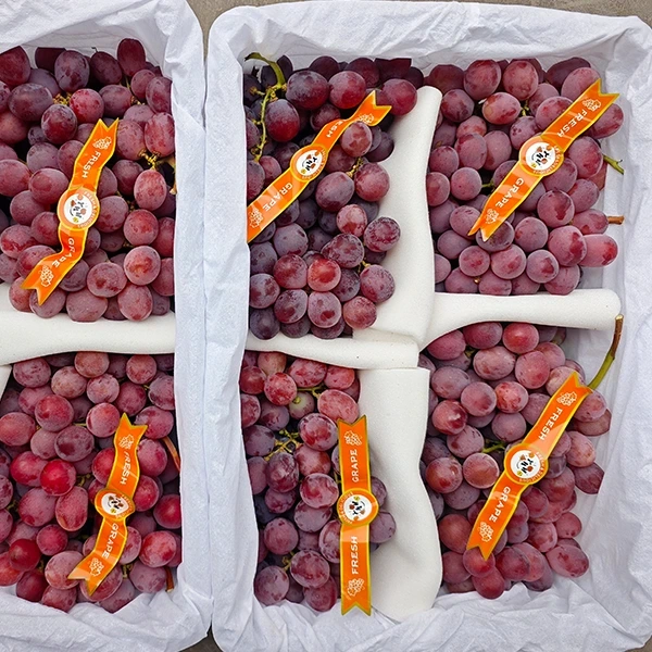 Fresh Table Grape Consumption Moves Toward Origin-Direct Supply