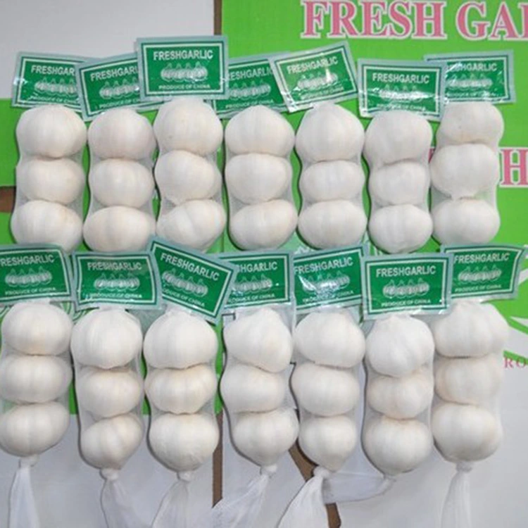 How Does Export Grade Pure White Garlic Meet the Demands of Global Buyers?