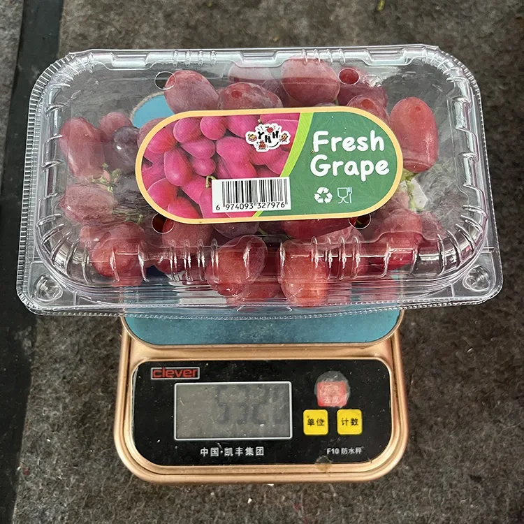 Export Grade Fresh Crimson Seedless Grapes