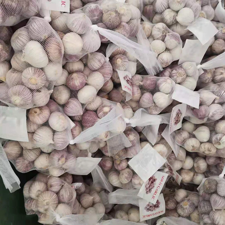 High Quality Single Clove Garlic