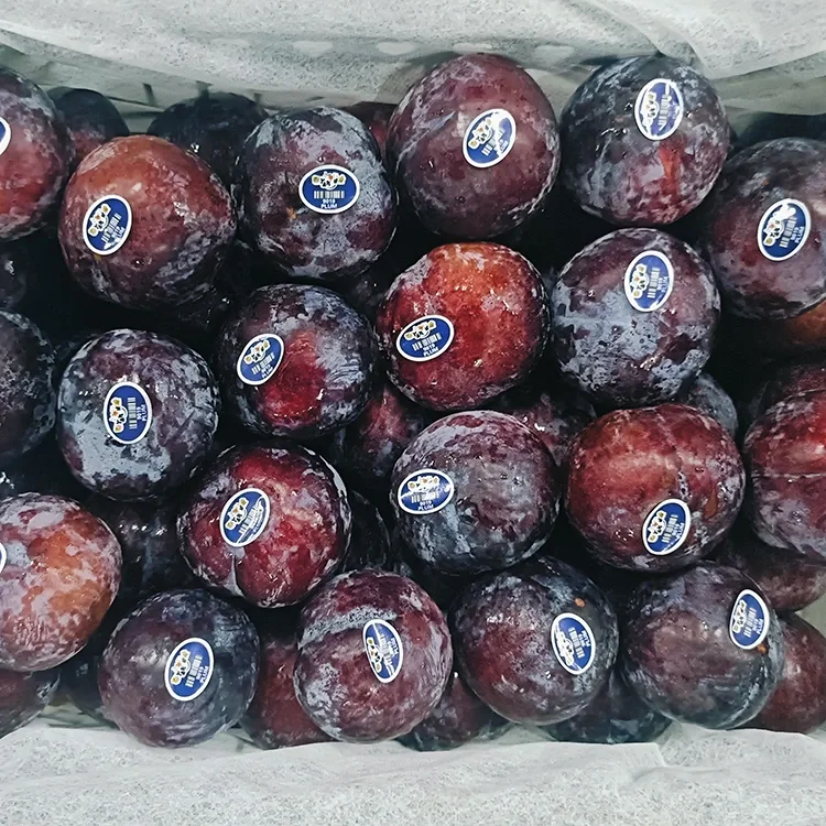 Fresh Juicy Black Plum