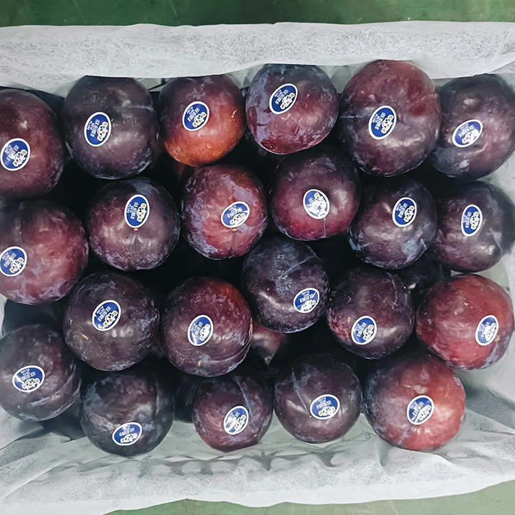 Fresh Juicy Black Plum
