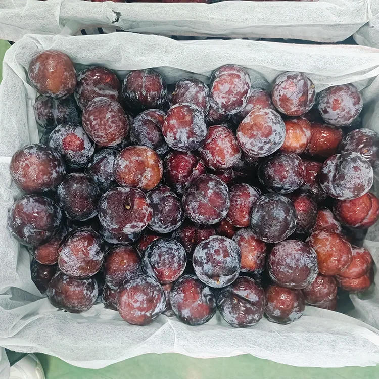 Fresh Juicy Black Plum
