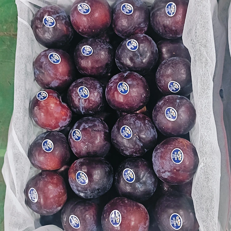 Fresh Juicy Black Plum