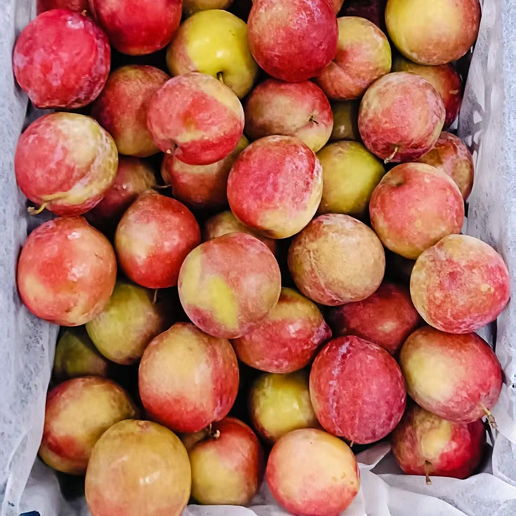 Fresh Sweet Red Meiyi Plum
