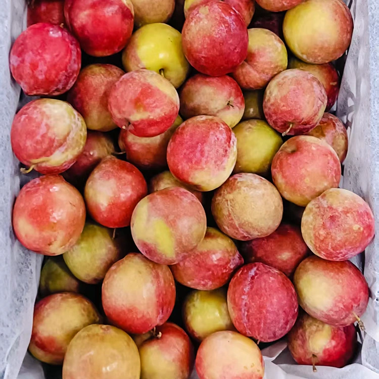 Fresh Sweet Red Meiyi Plum