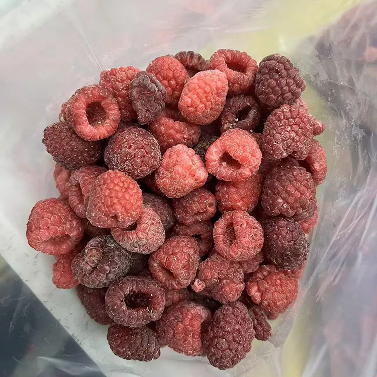 Premium IQF Whole Frozen Red Raspberry