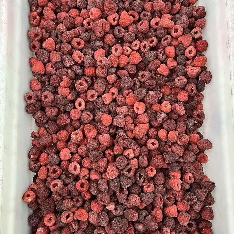 Premium IQF Whole Frozen Red Raspberry