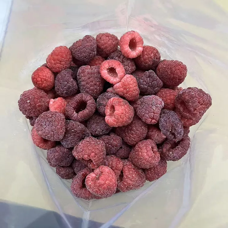 Premium IQF Whole Frozen Red Raspberry
