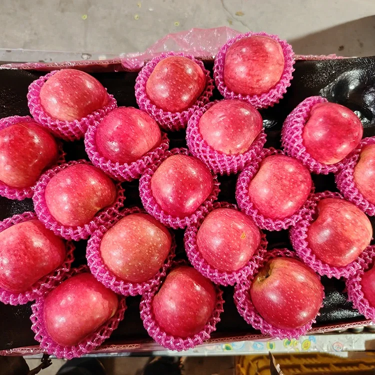 Superior Fresh Jiguan Apples